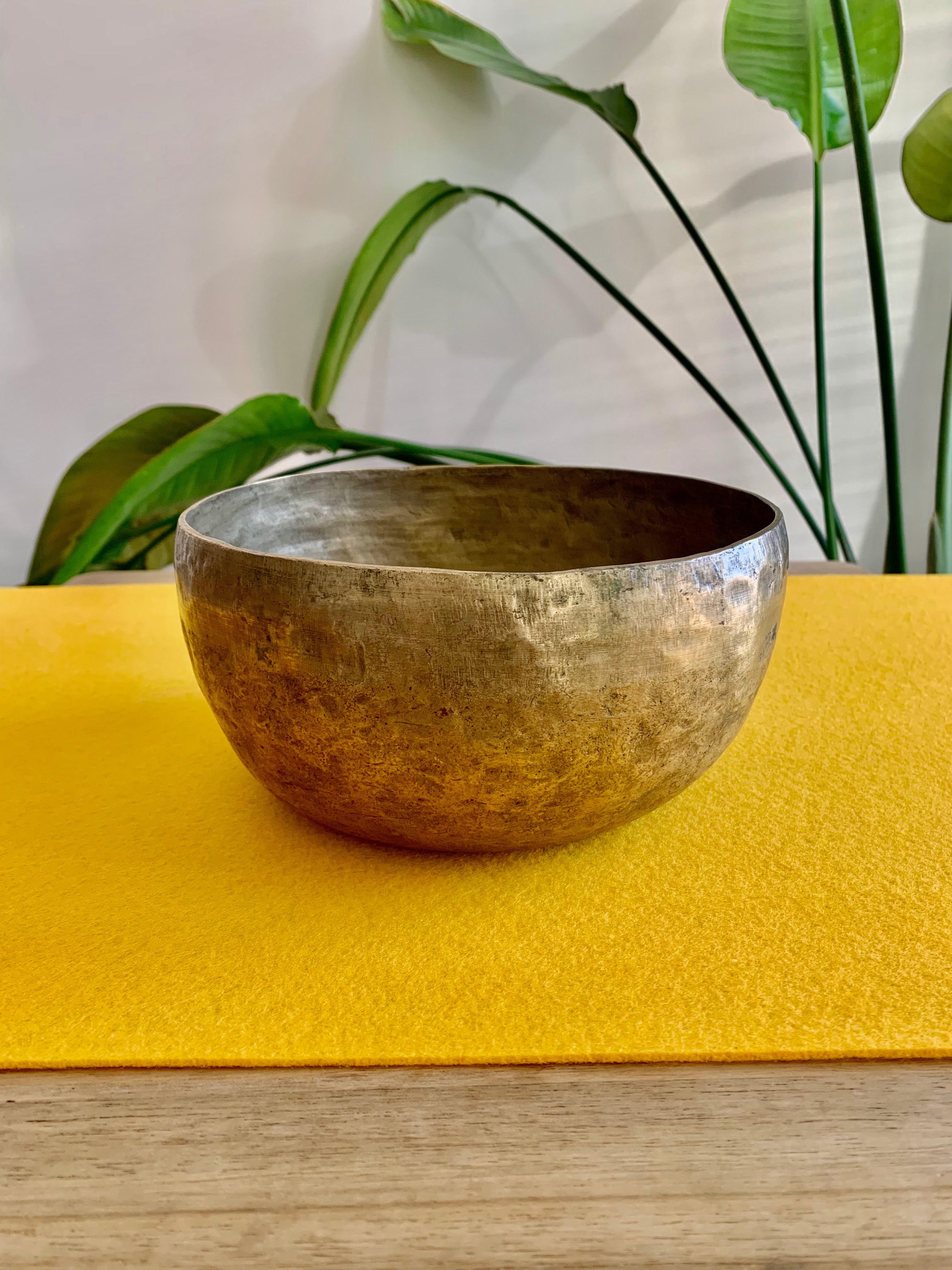 Campana Tibetana Thadobati antica MI 160 Hz