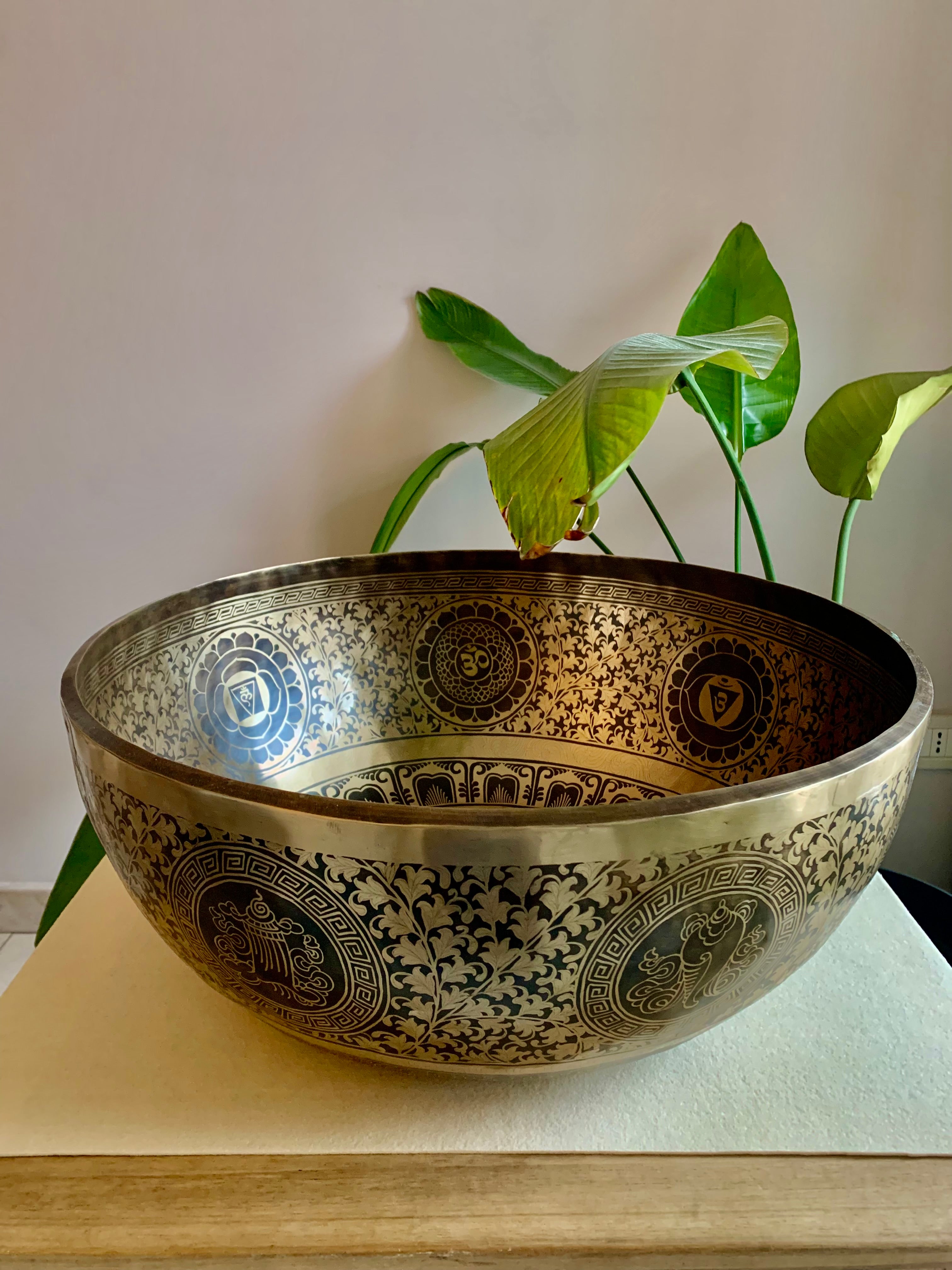 Campana Tibetana Grande Dimensione 51 cm di Altissima Qualità  Re 145Hz