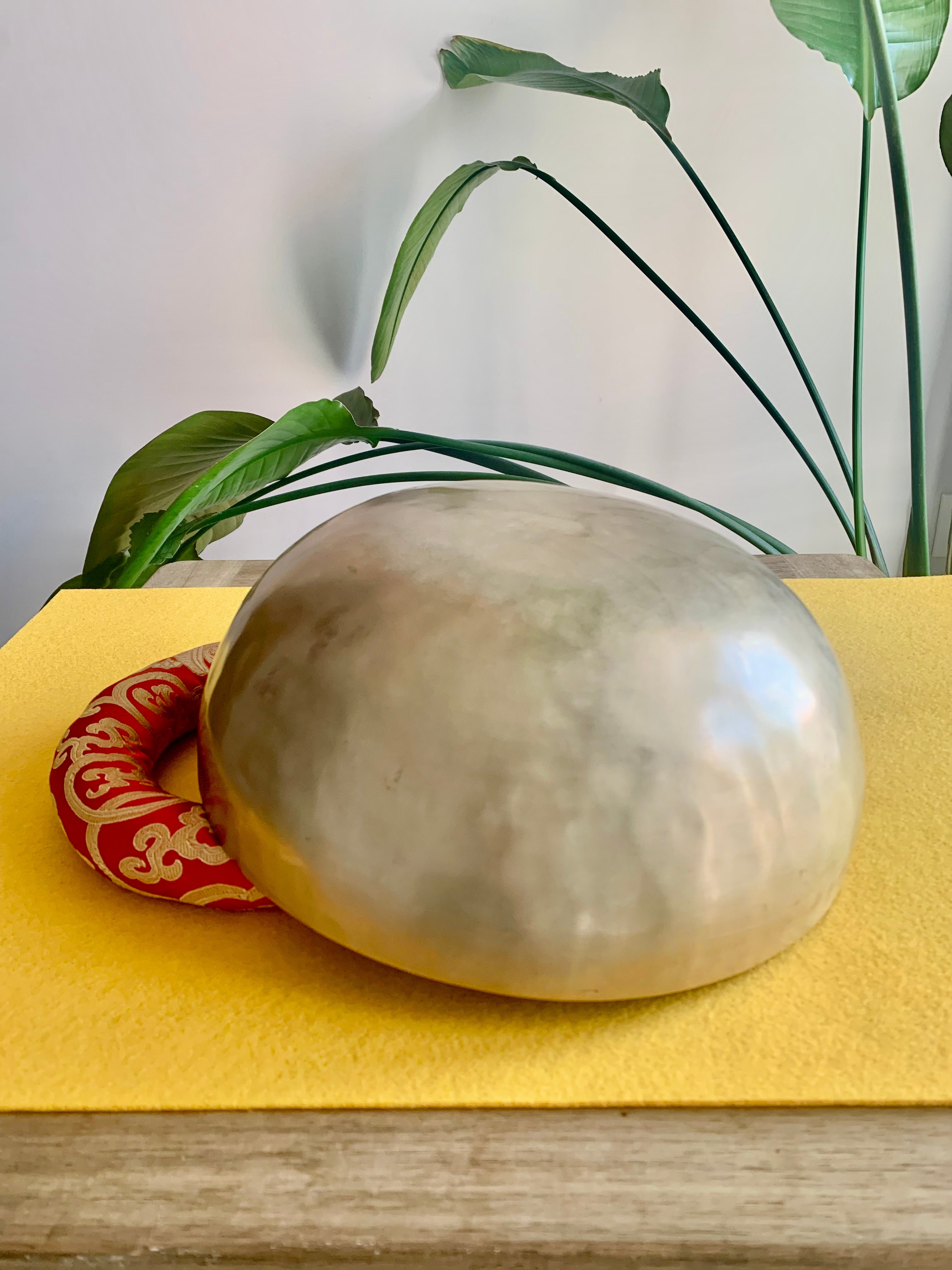 Campana Tibetana Jambati alta qualità La2# 112 Hz