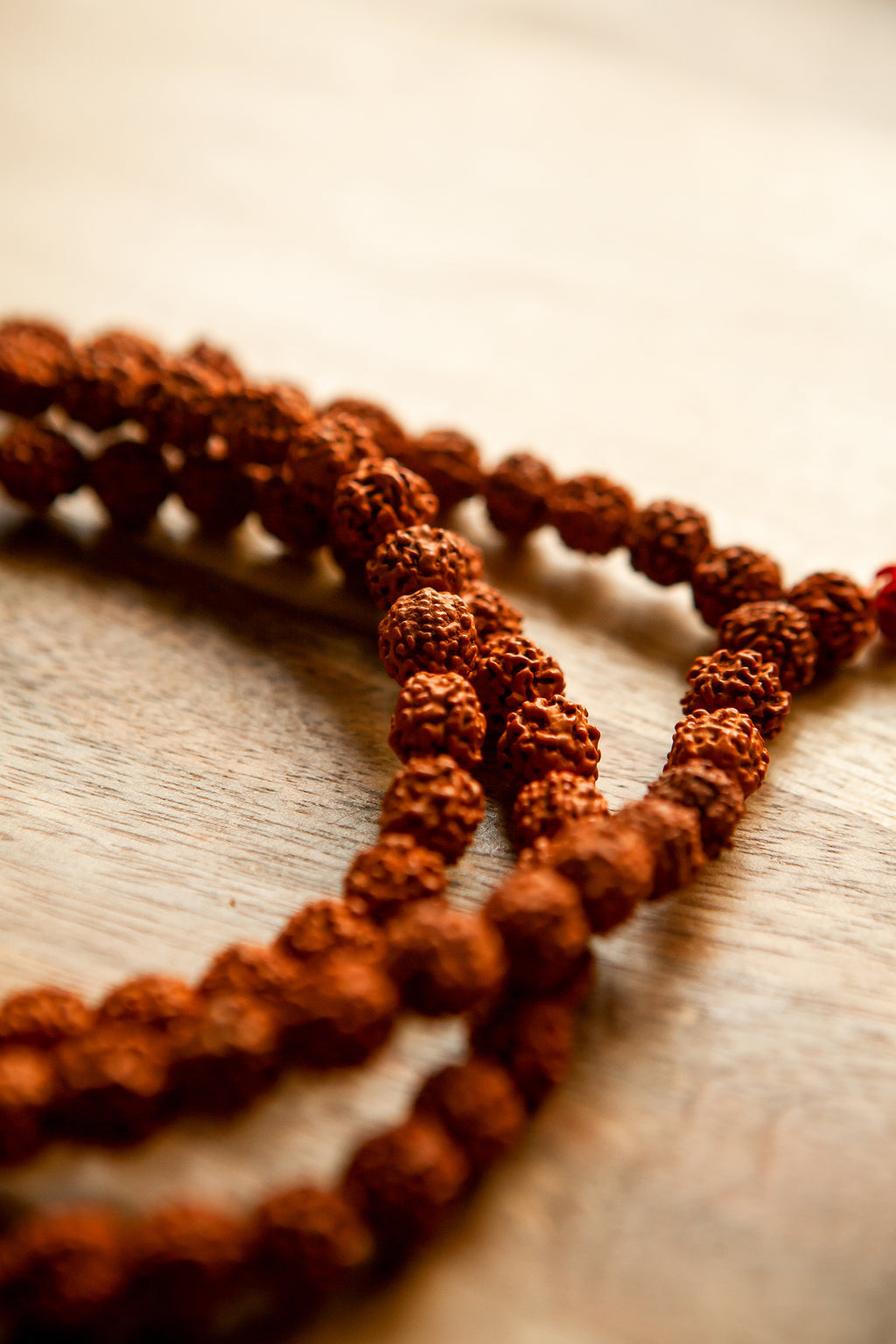 Mala in Rudraksha – Lunghezza 47 cm