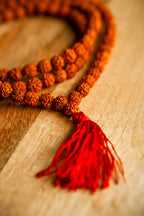 Mala in Rudraksha – Lunghezza 47 cm
