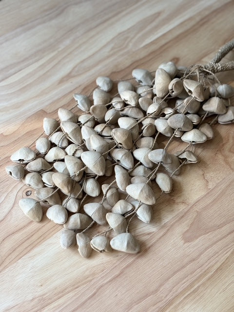 Sonaglio Artigianale in Semi Naturali – Seme Unico