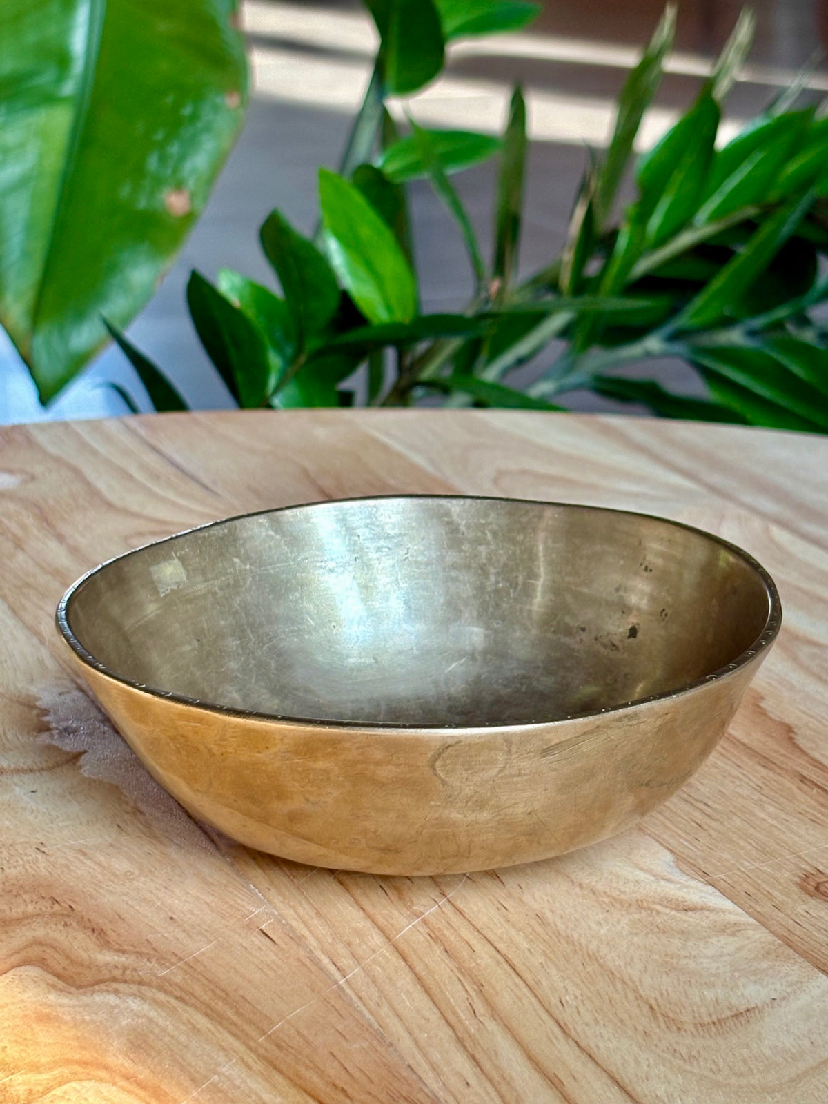 Campana Tibetana Manipuri (Assam) – Do4 · 258 Hz
