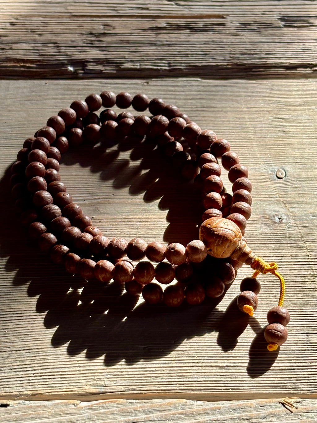 Mala Raktu in Semi Naturali – 50 cm