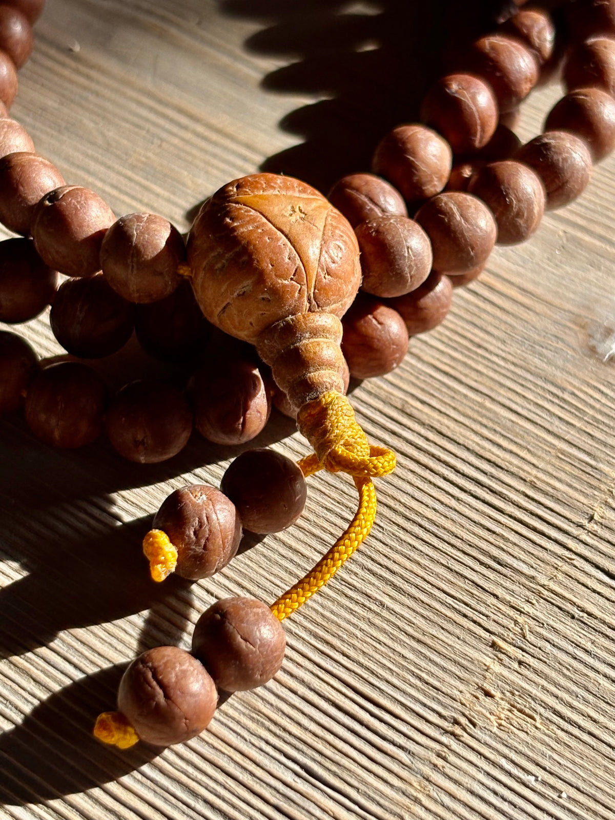 Mala Raktu in Semi Naturali – 50 cm
