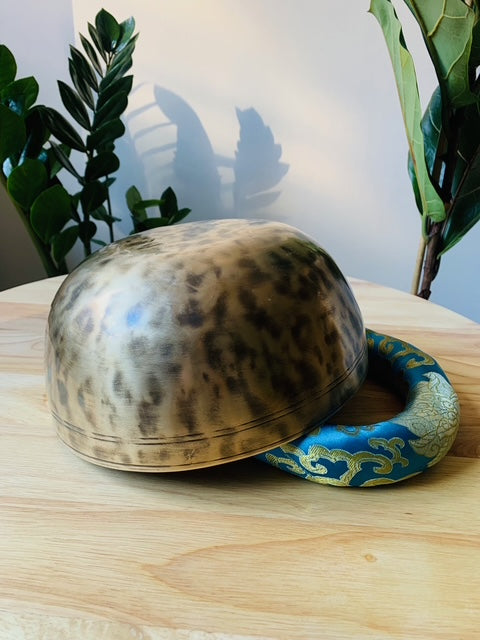 Antique Jambati Tibetan Bell F3 169 Hz