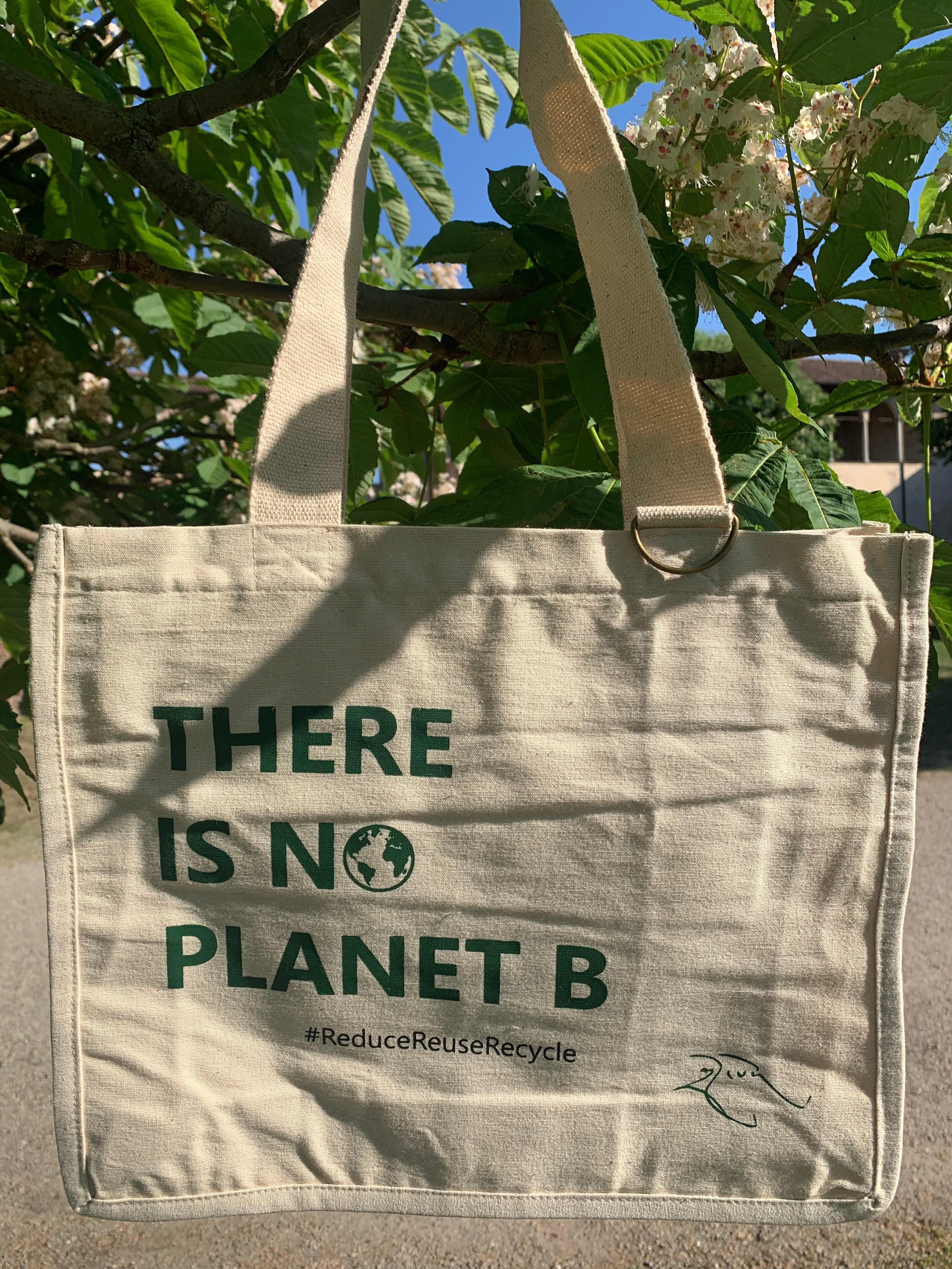 There Is No Planet B-Tote