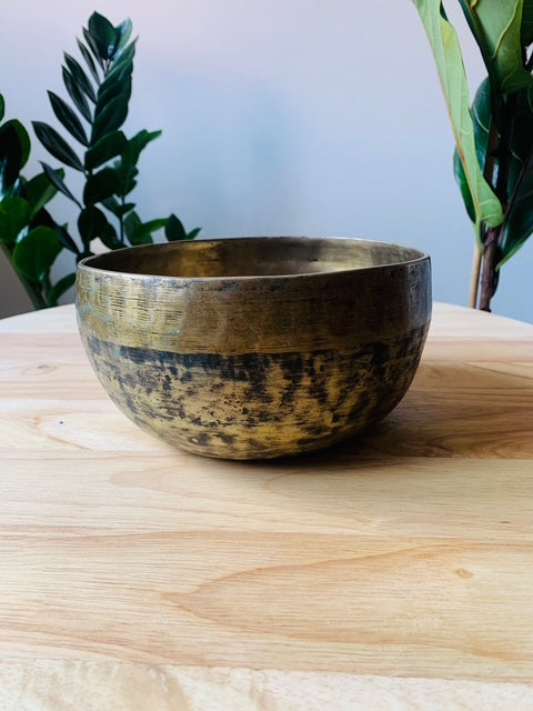 Antique Jambati Tibetan Bell F3 169 Hz