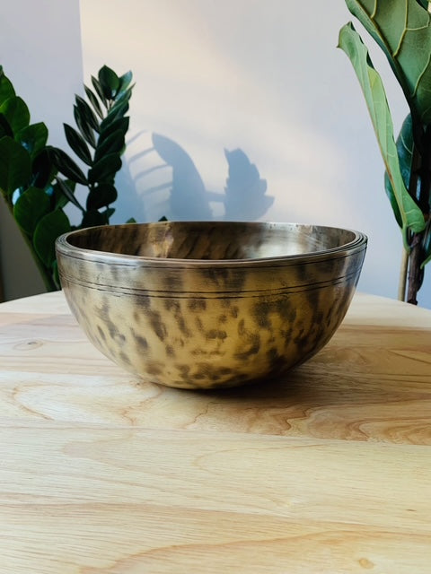 Antique Jambati Tibetan Bell F3 169 Hz