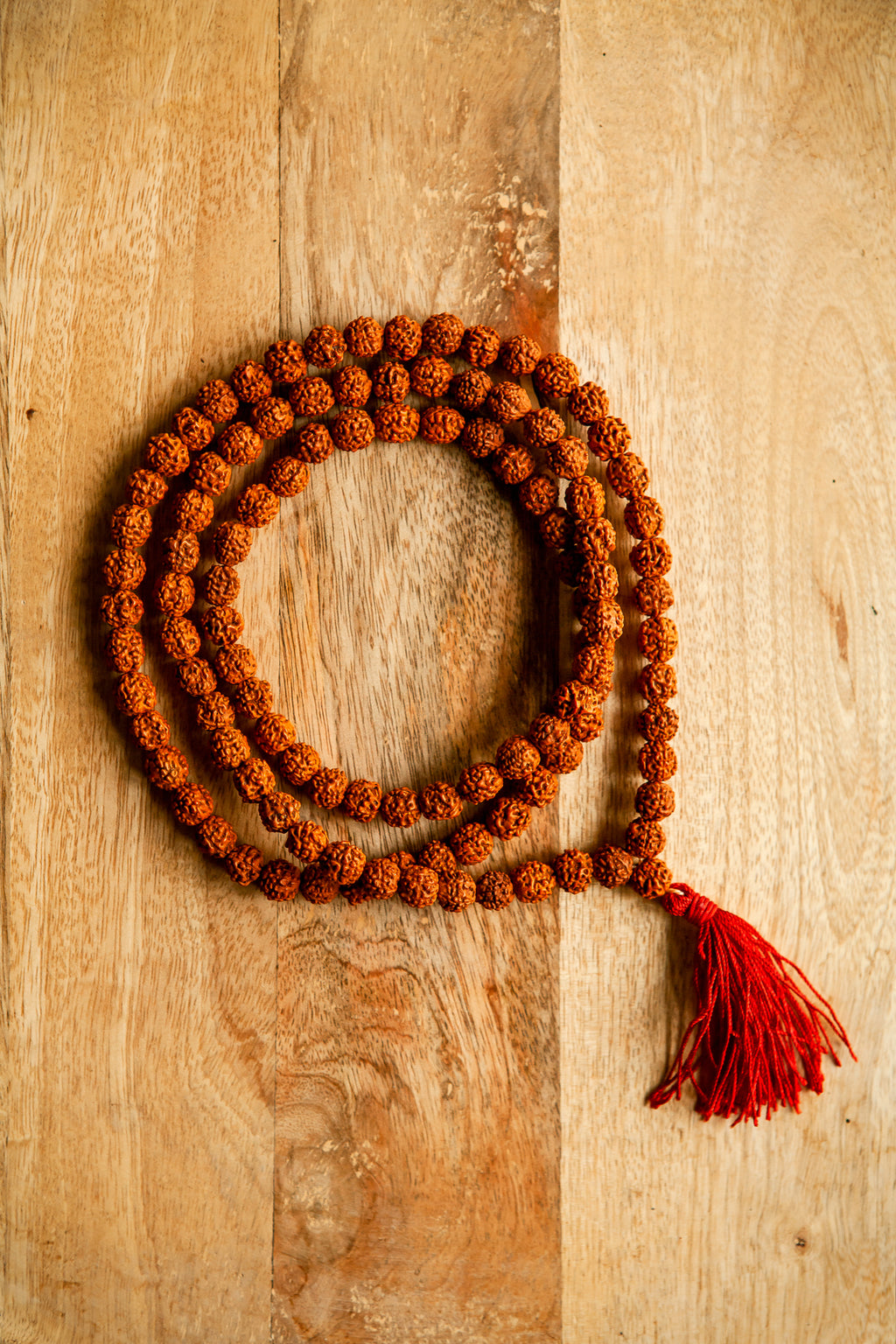 Mala in Rudraksha – Lunghezza 47 cm