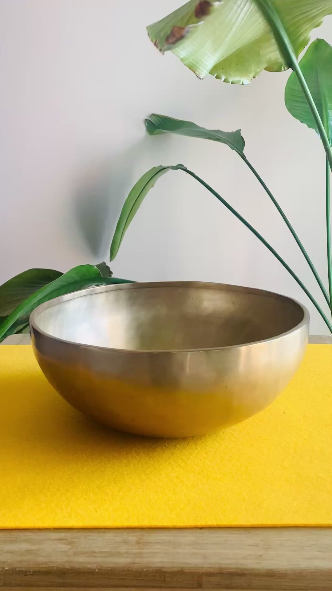 Campana Tibetana Jambati alta qualità La2# 112 Hz