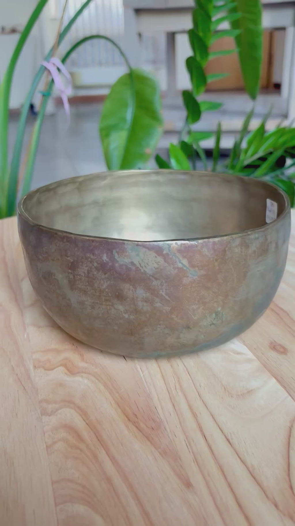 Antique Jambati Tibetan Bell F3 169 Hz